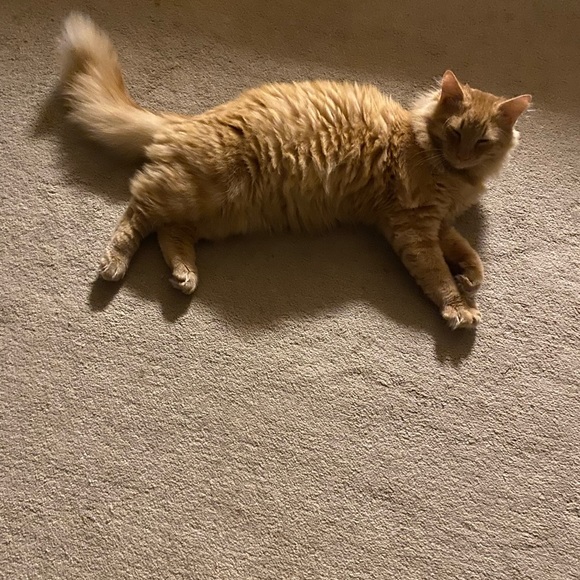 Meet your Posher, This-n-That - Picture 3 of 6